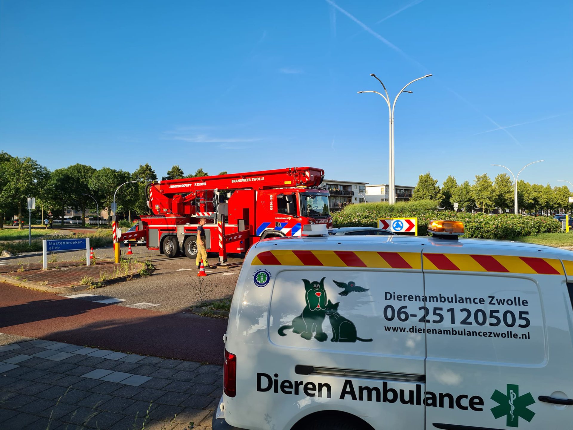 Meeuw vast 3